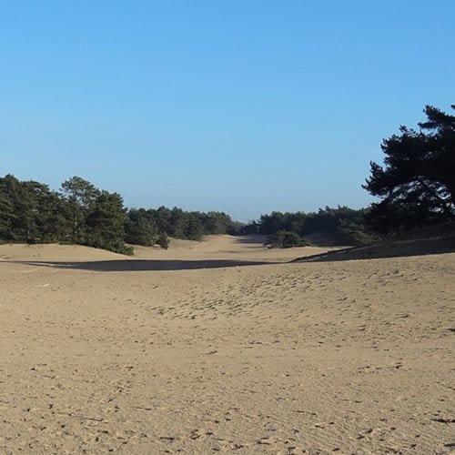 Vakantie Op De Veluwe Villa Lunteren Dış mekan fotoğraf
