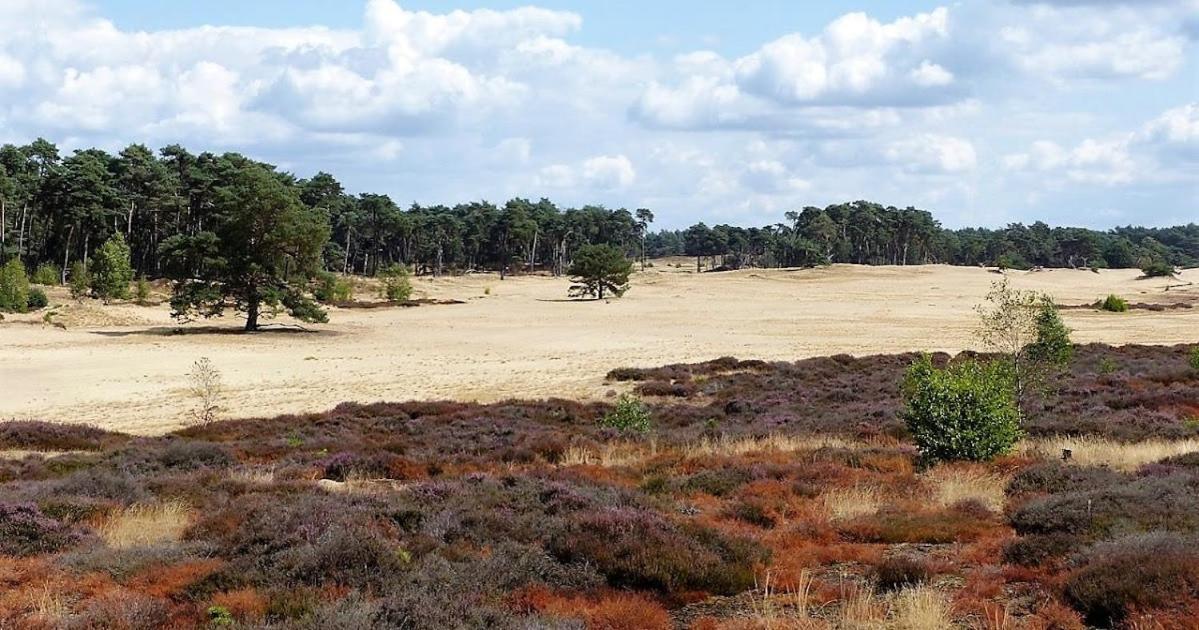 Vakantie Op De Veluwe Villa Lunteren Dış mekan fotoğraf